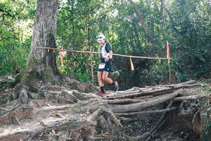 BIB: 
                            <button type="button" onclick="openModal(27747662)" class="btn btn-primary btn-sm float-right btn-popup" data-toggle="modal" data-target=".modal-high-quality">
                        <i class="fas fa-shopping-cart"></i> Add to Cart
                    </button>
                                            <button type="button" onclick="isThisMe(27747662, true)" class="btn btn-success btn-sm float-right btn-popup btn-isme hidden" data-toggle="tooltip" data-placement="bottom" title="นี่คือรูปของคุณใช่ไหม คลิกที่นี่เพื่อเอาเข้าอัลบั้ม">
                        <i class="fas fa-plus"></i> Add to album
                    </button>
                    <button type="button" onclick="isThisMe(27747662, false)" class="btn btn-warning btn-sm float-right btn-popup btn-isnotme hidden">
                        <i class="fas fa-ban"></i> Remove from album
                    </button>